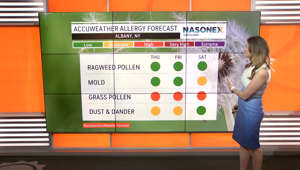Here's your allergy outlook for June 1