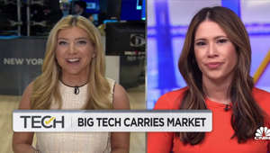 Big Tech carries market: Seven mega-caps drive rally