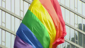 Progress pride flag to be raised at Daley Plaza
