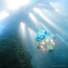 無人機潛入海底！讓水下探索變容易