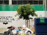 Recolha de lixo: funcionários ameaçam greve total na Jornada Mundial da Juventude