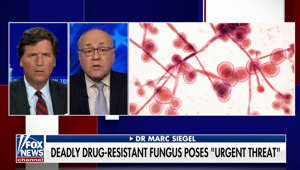 Fox News medical contributor Dr. Marc Siegel gives his assessment on the deadly, drug-resistant fungus and the threat it poses on 'Tucker Carlson Tonight.'