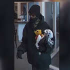 Have you seen the 'Stuffed Bear Bandit'?