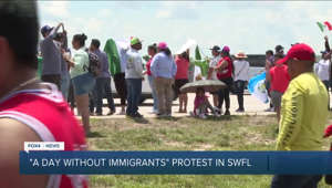 Anti-immigration law rallies protesters in Downtown Fort Myers