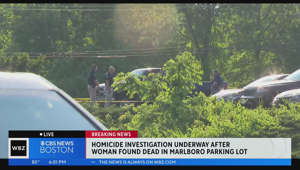 Person in custody after woman found dead outside hotel in Marlboro