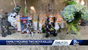 Family mourns two boys killed, babysitter speaks out