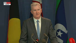 Employment Minister Tony Burke has reacted to the Fair Work Commission’s 8.6 per cent increase in the minimum wage. 