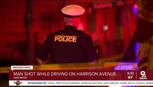 Man shot while driving on Harrison Avenue