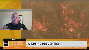 Tips to prepare for upcoming wildfire season