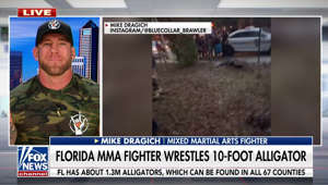 MMA fighter Mike Dragich discussed when he caught and wrestled an alligator outside an elementary school