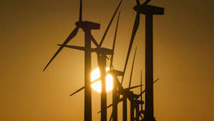 Baerbock: Ostsee-Anrainer wollen Offshore-Windkraft versiebenfachen