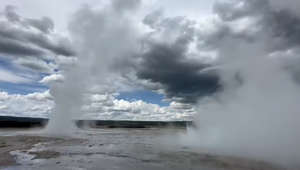 Fountain Geyser puts on a show at Yellowstone