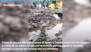 Maltempo a Reggio Emilia, frane e fiumi d'acqua a Baiso: il video