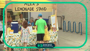 Alex Lemonade Stand in Wynnewood helping to fight childhood cancer