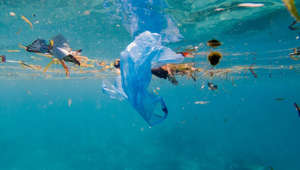 Tratado contra a poluição por plástico vai começar a ser redigido