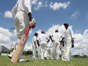 Players gather for a cricket match in Lauderhill against two teams made up of players from the Barbados.
