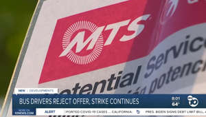 Bus drivers reject MTS contractor's offer, strike continues