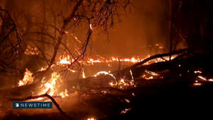 Riesiger Waldbrand in Jüterbog: Schon über 150 Hektar in Flammen
