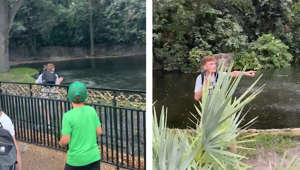 Trotz Warnungen von Tierparkbesuchern: Junger Mann klettert in Alligatorgehege