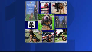 Rockland Sheriff's Office's first bloodhound retires