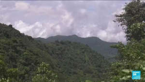 Costa rica : l'exceptionnelle "forêt de nuages" se dissipe