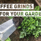 Are you throwing away a great gardening tool every morning?