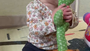 6-Month-Old and the Mimicking Cactus