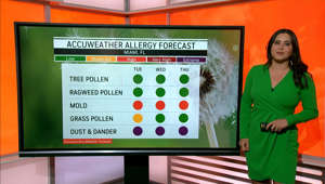 Your latest allergy forecast