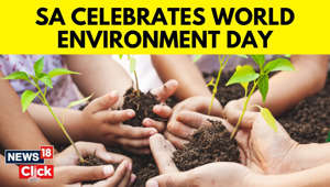 World Environment Day | SA Business Recycle Food Waste With An Aim To Reduce Methane Emissions