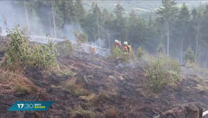 Unterfranken und Nordschwaben: Steigende Waldbrandgefahr