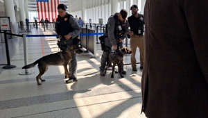CHS adds trained bomb-detecting K-9 teams to security