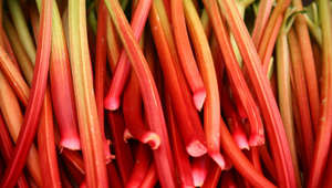 How to Prepare Rhubarb for Yummy Spring Desserts and More