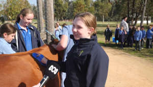 Victorian school inspiring students to work in agriculture