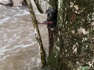 Saving a Puppy That Tried to Cross Flood Waters Stuck in Tree
