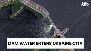 Swans swim in flooded Ukraine after dam water enters