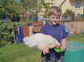 Hühner haben Hirn: 11-Jährige aus Ilmendorf versucht sich an Hühnerdressur