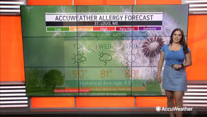 AccuWeather's Kristina Shalhoup shares the allergy outlook for affected regions of the United States on June 6.
