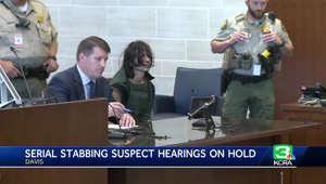 Hearings for accused Davis serial stabbings suspect on hold