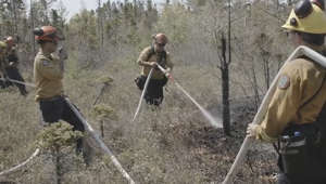 Canada On Pace For Worst Wildfire Season Ever