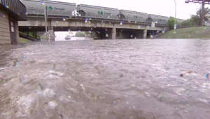 Why Regina's underpasses often flood when it rains