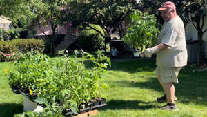 Gresham man spreads joy through gardening
