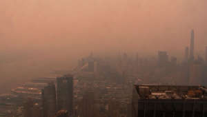 New Yorkers react to smoky skies