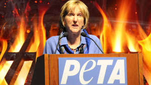 PETA president discusses her grizzly post-mortem plans for her will that she announced Monday.