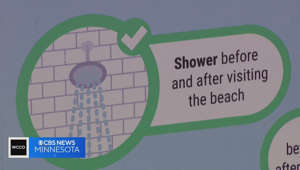 As water-borne illnesses close some Minnesota beaches, stay healthy with these tips