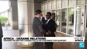 Ukraine FM asks for support from Africa, calls leaders to choose friends wisely