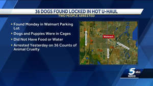 2 arrested after 36 dogs and puppies found inside hot U-Haul truck in OKC Walmart parking lot