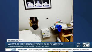 Ahwatukee community comes together after break-ins