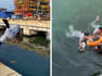 Des militaires sautent à l'eau pour sauver un chiot de la noyade