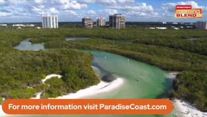 Visit Florida's Paradise Coast | Morning Blend