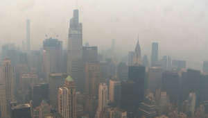 Les feux de forêt au Canada endommagent la qualité de l'air jusqu'aux États-Unis